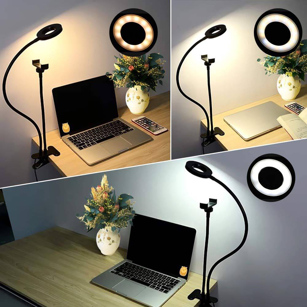 Professional Live Stream Selfie Ring Light and Cellphone stand_1